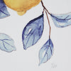 Blue & Yellow Lemons I Framed Canvas Wall Art Print - 11"x14"